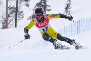 FIS Baltic Cup 2018 3. posms, Igaunijas Čempionāts milzu slalomā, Foto: Emīls Lukšo