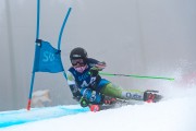 FIS Baltijas kauss 2024 2. posms, FIS Latvijas čempionāts GS, Foto: E.Lukšo