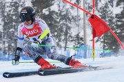 FIS Baltic Cup 2018 3. posms, Igaunijas Čempionāts milzu slalomā, Foto: Emīls Lukšo