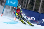 FIS Baltijas kauss 2024 2. posms, FIS Brazīlijas čempionāts GS, Foto: E.Lukšo