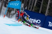 FIS Baltijas kauss 2024 2. posms, FIS Brazīlijas čempionāts GS, Foto: E.Lukšo