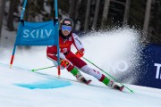 FIS Baltijas kauss 2024 2. posms, FIS Brazīlijas čempionāts GS, Foto: E.Lukšo