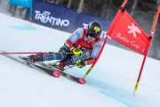 FIS Baltijas kauss 2024 2. posms, FIS Brazīlijas čempionāts GS, Foto: E.Lukšo