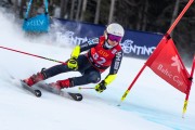 FIS Baltijas kauss 2024 2. posms, FIS Brazīlijas čempionāts GS, Foto: E.Lukšo