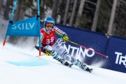 FIS Baltijas kauss 2024 2. posms, FIS Brazīlijas čempionāts GS, Foto: E.Lukšo