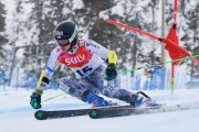 FIS Baltic Cup 2018 3. posms, Igaunijas Čempionāts milzu slalomā, Foto: Emīls Lukšo