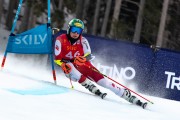 FIS Baltijas kauss 2024 2. posms, FIS Brazīlijas čempionāts GS, Foto: E.Lukšo