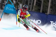 FIS Baltijas kauss 2024 2. posms, FIS Brazīlijas čempionāts GS, Foto: E.Lukšo