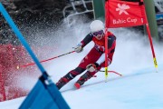 FIS Baltijas kauss 2024 2. posms, FIS Brazīlijas čempionāts GS, Foto: E.Lukšo