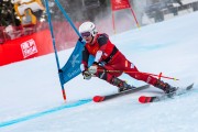 FIS Baltijas kauss 2024 2. posms, FIS Brazīlijas čempionāts GS, Foto: E.Lukšo