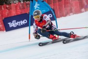 FIS Baltijas kauss 2024 2. posms, FIS Brazīlijas čempionāts GS, Foto: E.Lukšo