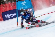 FIS Baltijas kauss 2024 2. posms, FIS Brazīlijas čempionāts GS, Foto: E.Lukšo