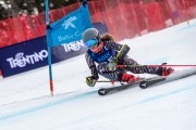 FIS Baltijas kauss 2024 2. posms, FIS Brazīlijas čempionāts GS, Foto: E.Lukšo