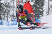 FIS Baltic Cup 2018 3. posms, Igaunijas Čempionāts milzu slalomā, Foto: Emīls Lukšo