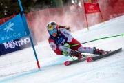 FIS Baltijas kauss 2024 2. posms, FIS Brazīlijas čempionāts GS, Foto: E.Lukšo