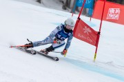 FIS Baltijas kauss 2024 2. posms, FIS Brazīlijas čempionāts GS, Foto: E.Lukšo