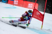 FIS Baltijas kauss 2024 2. posms, FIS Brazīlijas čempionāts GS, Foto: E.Lukšo