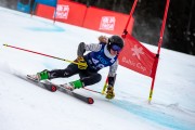 FIS Baltijas kauss 2024 2. posms, FIS Brazīlijas čempionāts GS, Foto: E.Lukšo