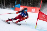 FIS Baltijas kauss 2024 2. posms, FIS Brazīlijas čempionāts GS, Foto: E.Lukšo