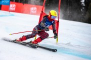 FIS Baltijas kauss 2024 2. posms, FIS Brazīlijas čempionāts GS, Foto: E.Lukšo