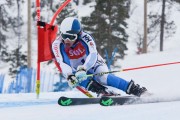 FIS Baltic Cup 2018 3. posms, Igaunijas Čempionāts milzu slalomā, Foto: Emīls Lukšo