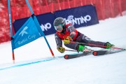 FIS Baltijas kauss 2024 2. posms, FIS Brazīlijas čempionāts GS, Foto: E.Lukšo