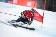 FIS Baltijas kauss 2024 2. posms, FIS Brazīlijas čempionāts GS, Foto: E.Lukšo