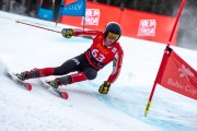 FIS Baltijas kauss 2024 2. posms, FIS Brazīlijas čempionāts GS, Foto: E.Lukšo