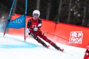 FIS Baltijas kauss 2024 2. posms, FIS Brazīlijas čempionāts GS, Foto: E.Lukšo