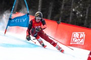 FIS Baltijas kauss 2024 2. posms, FIS Brazīlijas čempionāts GS, Foto: E.Lukšo