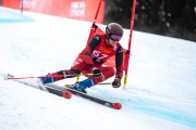 FIS Baltijas kauss 2024 2. posms, FIS Brazīlijas čempionāts GS, Foto: E.Lukšo