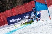 FIS Baltijas kauss 2024 2. posms, FIS Brazīlijas čempionāts GS, Foto: E.Lukšo