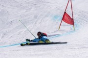 FIS Baltijas kauss 2024 2. posms, FIS Brazīlijas čempionāts GS, Foto: E.Lukšo