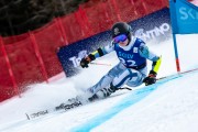 FIS Baltijas kauss 2024 2. posms, FIS Brazīlijas čempionāts GS, Foto: E.Lukšo