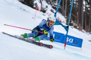 FIS Baltijas kauss 2024 2. posms, FIS Brazīlijas čempionāts GS, Foto: E.Lukšo