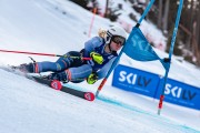 FIS Baltijas kauss 2024 2. posms, FIS Brazīlijas čempionāts GS, Foto: E.Lukšo