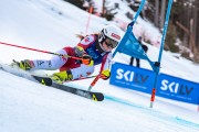 FIS Baltijas kauss 2024 2. posms, FIS Brazīlijas čempionāts GS, Foto: E.Lukšo