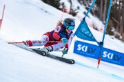 FIS Baltijas kauss 2024 2. posms, FIS Brazīlijas čempionāts GS, Foto: E.Lukšo