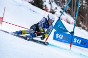 FIS Baltijas kauss 2024 2. posms, FIS Brazīlijas čempionāts GS, Foto: E.Lukšo