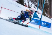 FIS Baltijas kauss 2024 2. posms, FIS Brazīlijas čempionāts GS, Foto: E.Lukšo