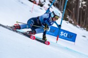 FIS Baltijas kauss 2024 2. posms, FIS Brazīlijas čempionāts GS, Foto: E.Lukšo