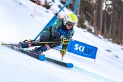 FIS Baltijas kauss 2024 2. posms, FIS Brazīlijas čempionāts GS, Foto: E.Lukšo