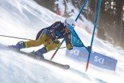 FIS Baltijas kauss 2024 2. posms, FIS Brazīlijas čempionāts GS, Foto: E.Lukšo