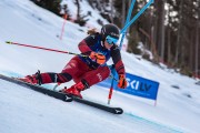 FIS Baltijas kauss 2024 2. posms, FIS Brazīlijas čempionāts GS, Foto: E.Lukšo