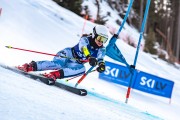 FIS Baltijas kauss 2024 2. posms, FIS Brazīlijas čempionāts GS, Foto: E.Lukšo