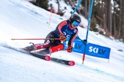 FIS Baltijas kauss 2024 2. posms, FIS Brazīlijas čempionāts GS, Foto: E.Lukšo