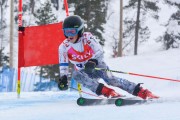 FIS Baltic Cup 2018 3. posms, Igaunijas Čempionāts milzu slalomā, Foto: Emīls Lukšo