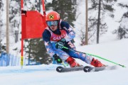 FIS Baltic Cup 2018 3. posms, Igaunijas Čempionāts milzu slalomā, Foto: Emīls Lukšo