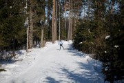 FIS Latvijas Čempionāts 2018 otrias posms, intervāla starts, Foto: Jānis Vīksna