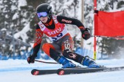 FIS Baltic Cup 2018 3. posms, Igaunijas Čempionāts milzu slalomā, Foto: Emīls Lukšo